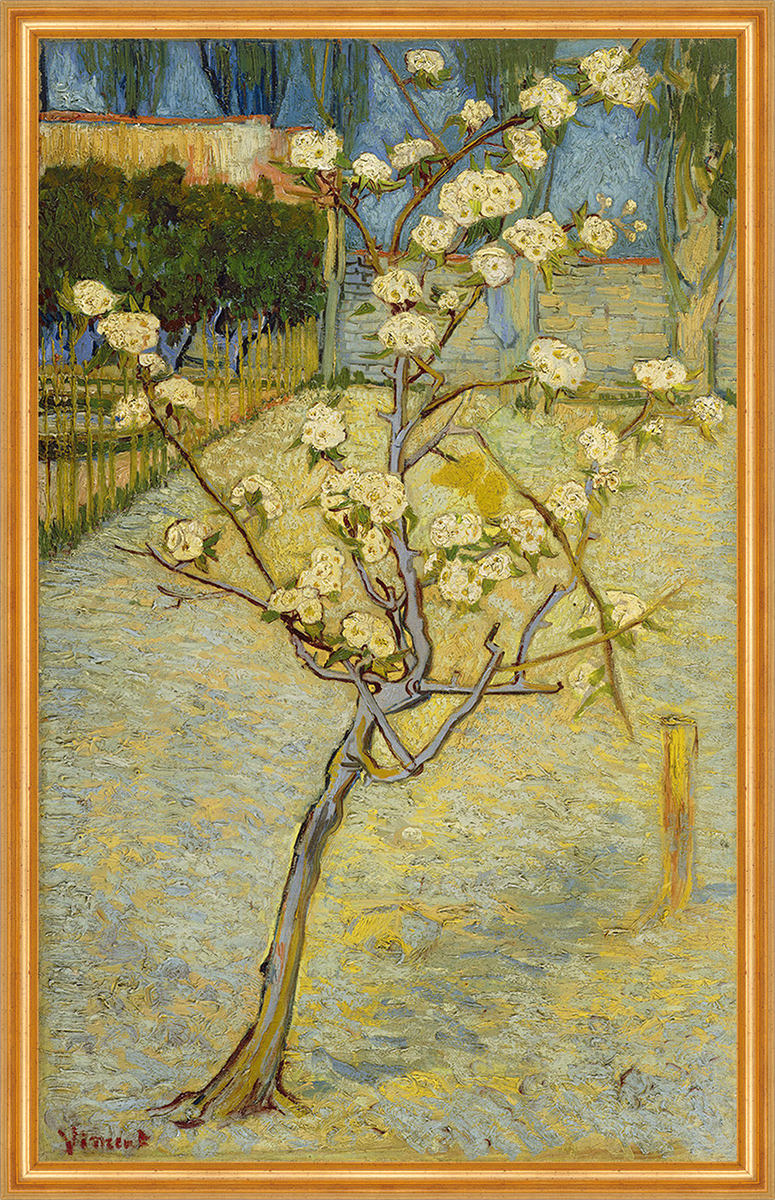 Small Pear Tree In Blossom Vincent Van Gogh Birne Baum Bl Te Garten B