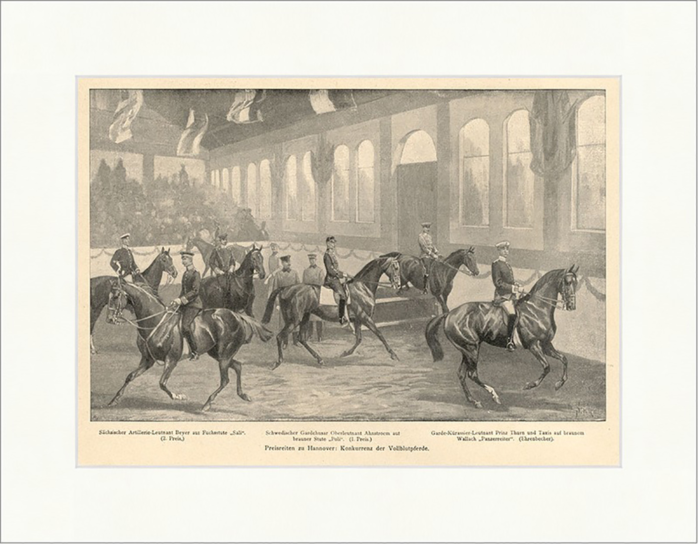 Preisreiten zu Hannover: Konkurrenz der Vollblutpferde Thurn Holzstich