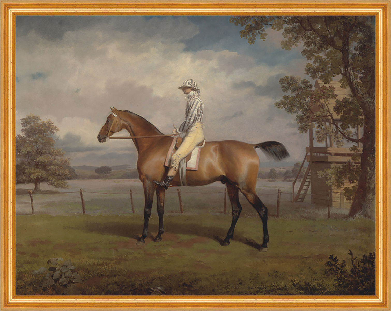 Portrait of a Racehorse, Possibly Disguise George Garrard Pferde B A1 02003