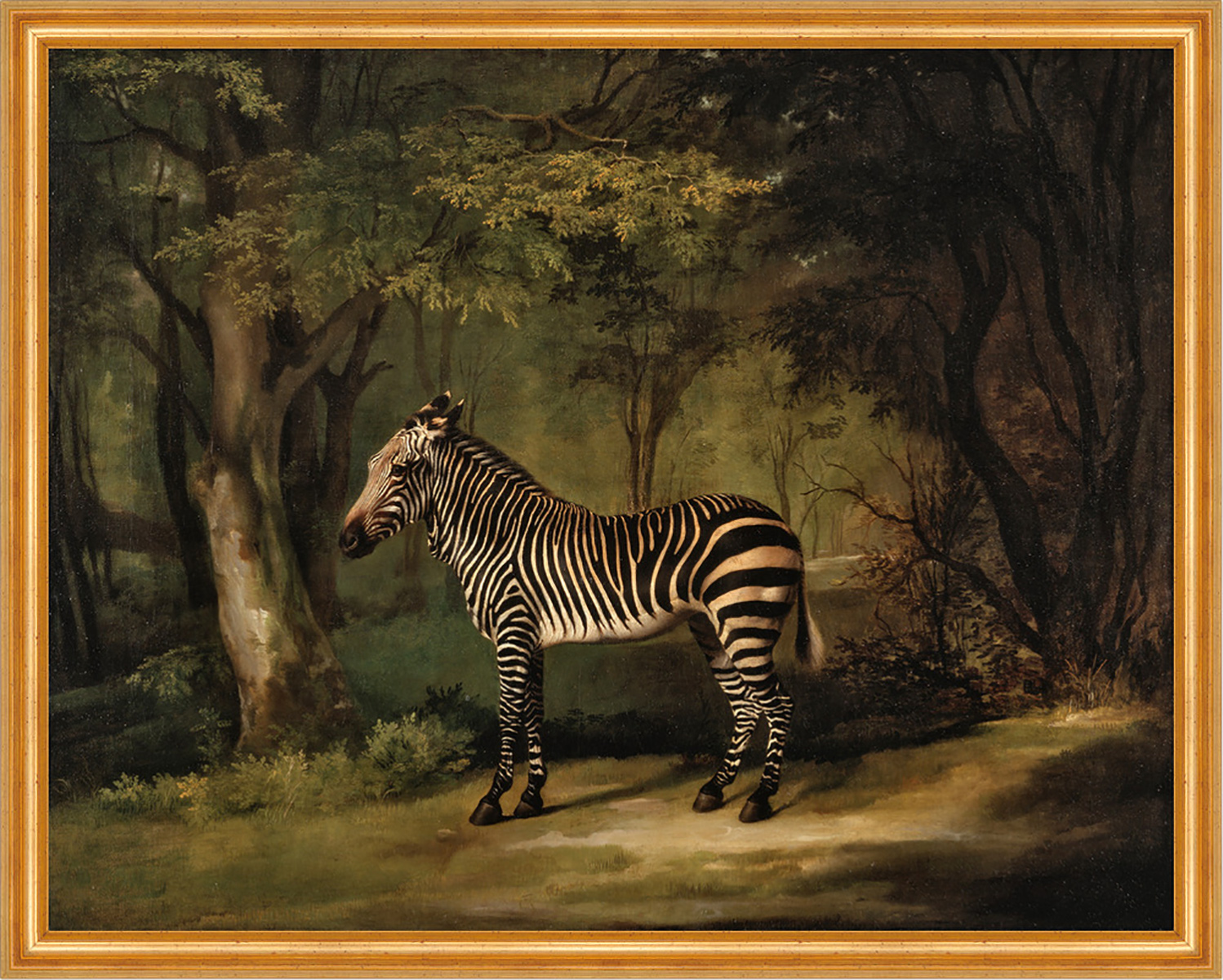 Zebra George Stubbs Tiere Wald Bäume Streifen Pferde Lichtung B A1 02029
