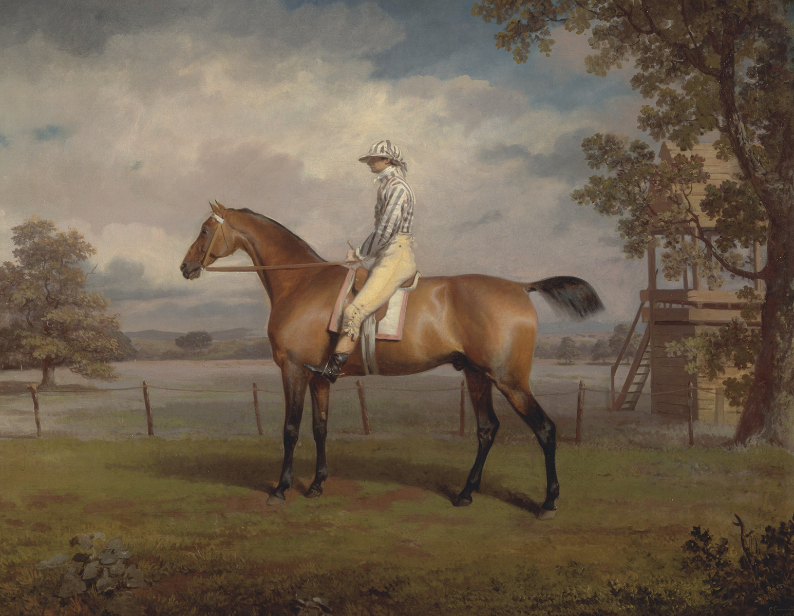 Portrait of a Racehorse, Possibly Disguise George Garrard Pferde B A3 02003
