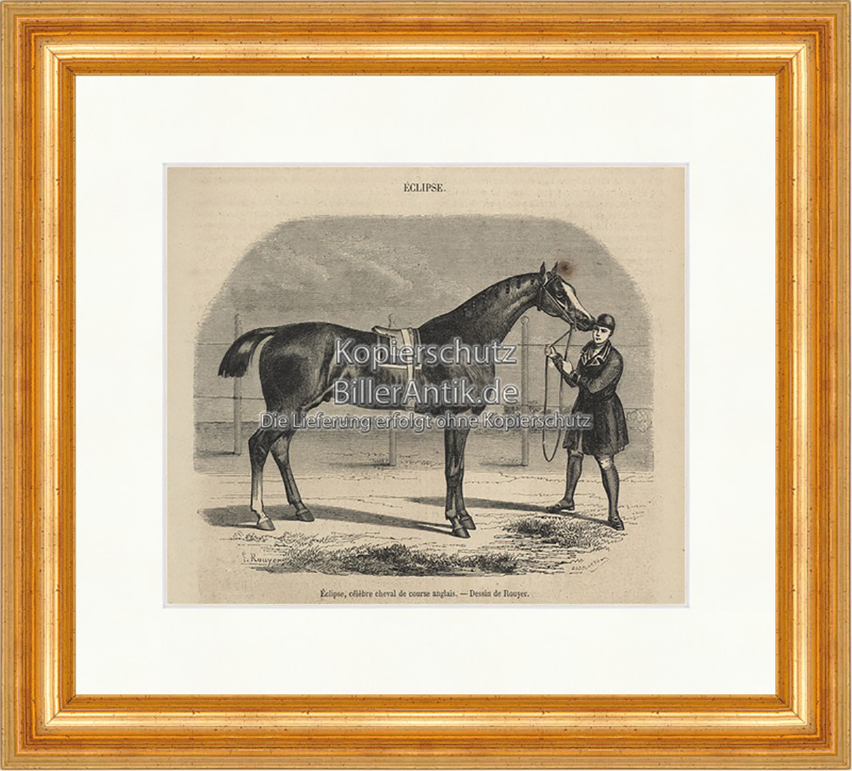 Eclipse celebre cheval de course anglais Rennpferd Holzstich E 19752 Gerahmt