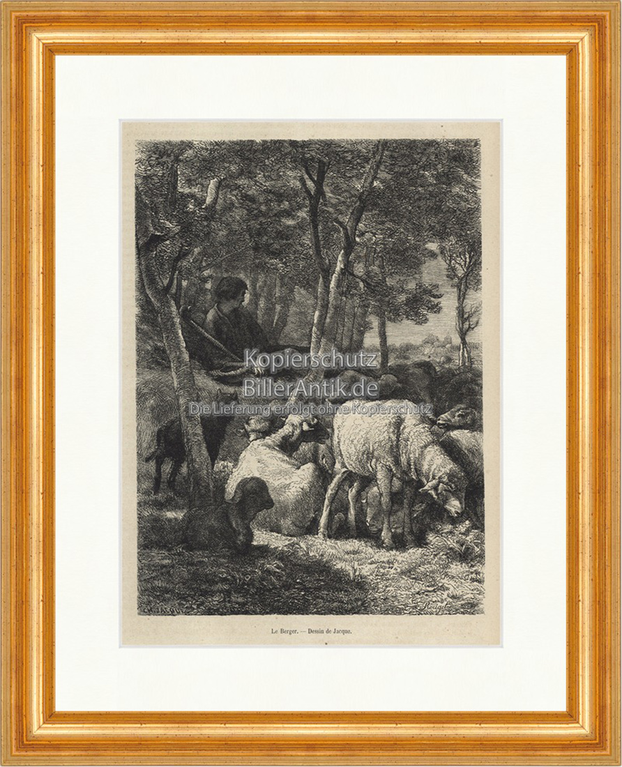 Le Berger Schäfer Schafe Herde Hund Wald Grasen Rast Holzstich E 19781 Gerahmt
