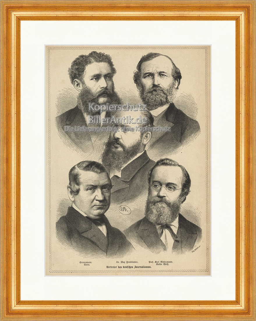 Deutscher Journalismus Biedermann Sonnemann Stein Holzstich E 19797 Gerahmt