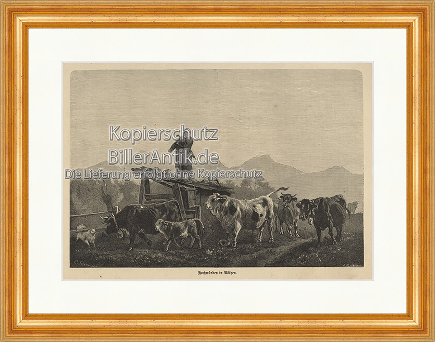 Hochwürden in Röthen Schweiz Kühe Kalb Glocke Kanton Holzstich E 19804 Gerahmt