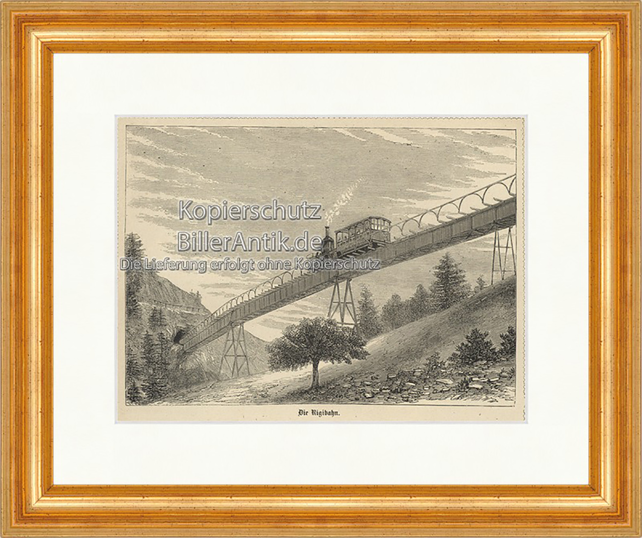 Die Rigibahn Bergbahn Brücke Tunnel Gebirge Lokomotive Holzstich E 19839 Gerahmt