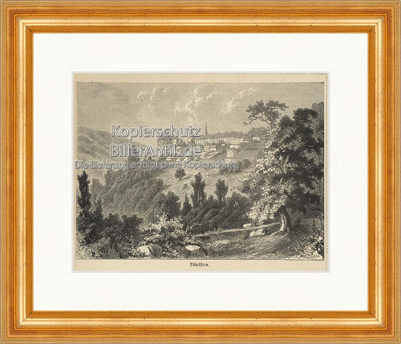 Grafschaft Tützelstein Schloss Pfalzgraf Deutschland Holzstich E 19871 Gerahmt