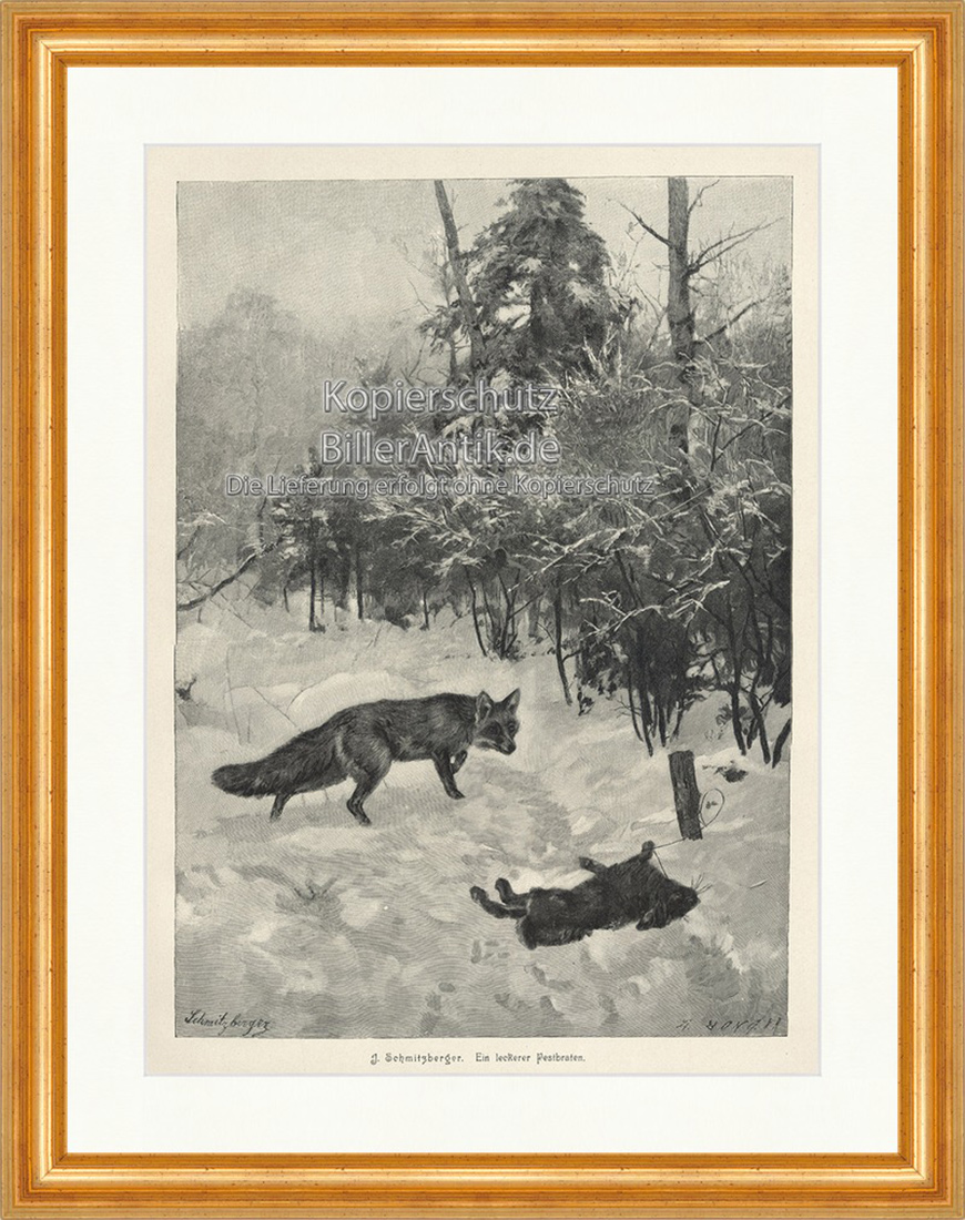 Leckerer Festbraten Feldhase Erlegt Fuchs Wald Winter Holzstich E 19884 Gerahmt