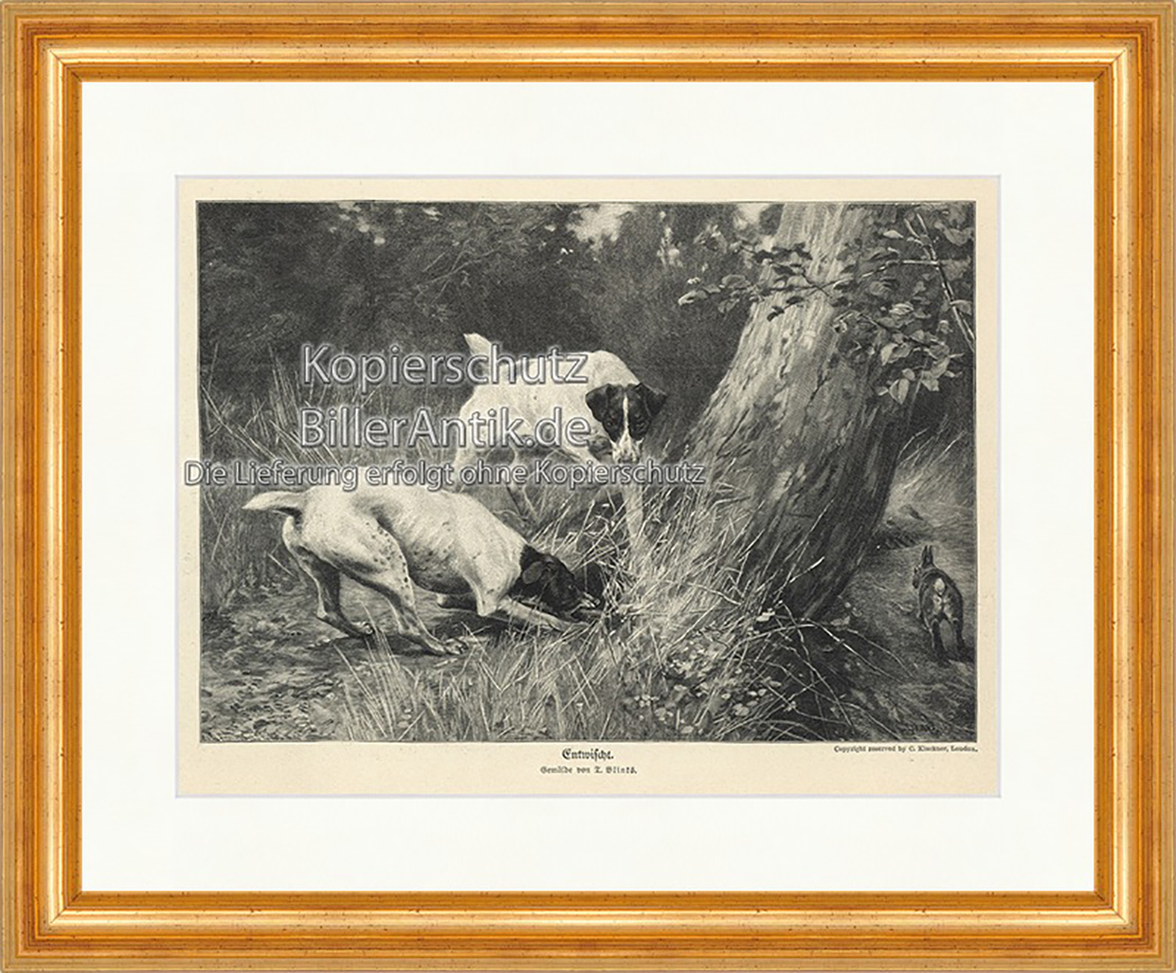 Entwischt Loch Feldhase Jagdhunde Suchen Stamm Blätter Holzstich E 19943 Gerahmt