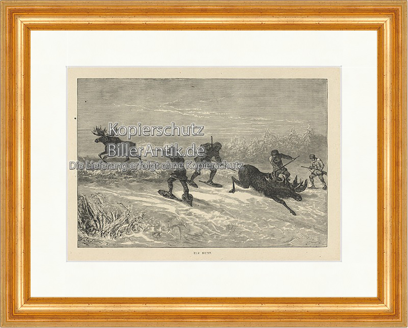 Elk Hunt Elchjagd Schweden Speer Schuss Gewehr Geweih Holzstich E 19952 Gerahmt