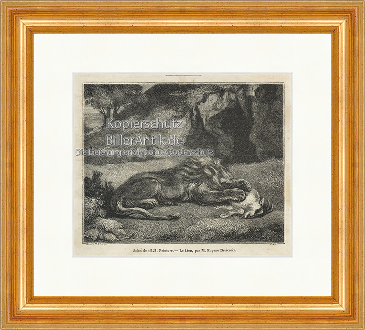 Le Lion Löwe Mähne 1848 Katze Afrika Rudel Raubtier Holzstich E 20045 Gerahmt