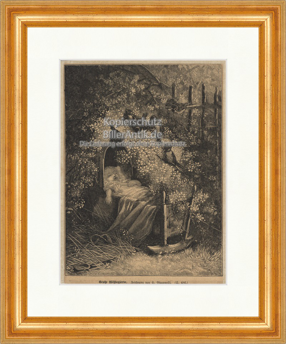 Große Wissbegierde Wiege Kind Schlaf Vögel Giacomelli Holzstich E 20110 Gerahmt