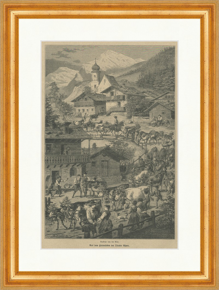 Aus dem Hirtenleben der Tiroler Alpen Bauer Österreich Holzstich E 22632 Gerahmt