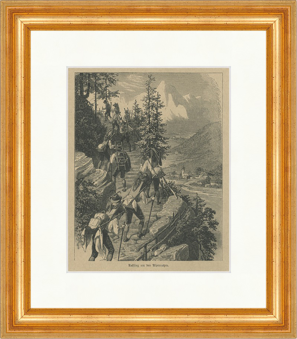Aufstieg um den Alpennutzen Bergsteiger Gebirge Dorf Holzstich E 22638 Gerahmt