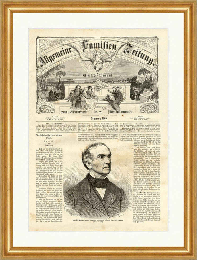 Prof. Dr. Justus v. Liebig Chemiker Professor München Holzstich E 5177 Gerahmt