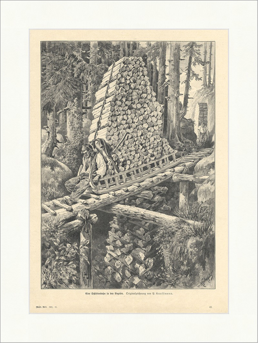Eine Schlittenbahn in den Vogesen P. Kaufmann Wald Brennholz Holzstich E 9745