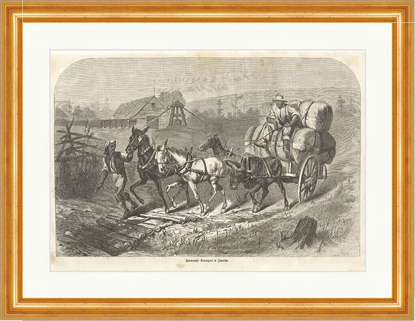 Baumwolle Transport in Amerika Landwirtschaft Pferde Holzstich E 9838 Gerahmt