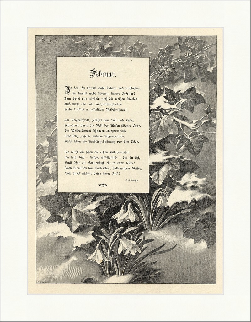Februar Jansen Efeu Gedicht Pflanze Jahreszeit orig. Holzstich SUPERPREIS X  0548